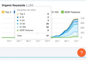 Portfolio SEO Marketing