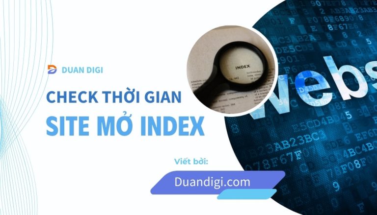 5 Cách Check Thời Gian Site Bắt Đầu Mở Index Chính Xác Nhất